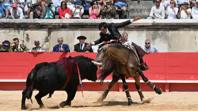 Beaucaire : corrida et novillada ce week-end avec Diego Ventura