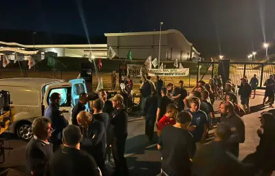 Blocage d'abattoirs Bigard : les éleveurs dénoncent la baisse des prix