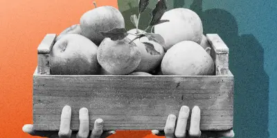 Bruit du marchand de fruits : une vente immobilière annulée