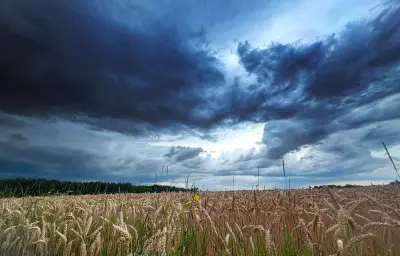 Canicule : 26 départements rétrogradés en orange, 9 en vigilance orages