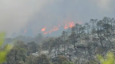 Canicule : 40°C attendus, 72 départements en orange, incendies ravagent le pays