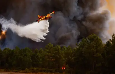 Canicule et reprises de feu en Gironde : 14 foyers actifs malgré un incendie stabilisé