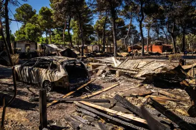 Canicule : le sud de la France en alerte orange, incendies ravageurs