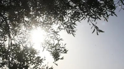 Canicule : l'Espagne, modèle mondial de lutte contre les chaleurs extrêmes