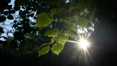 Canicule : l'Hérault reste en orange, la chaleur recule grâce aux orages