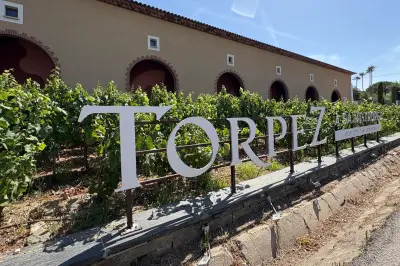 Cave coopérative de Saint-Tropez : redressement judiciaire et espoirs de renouveau