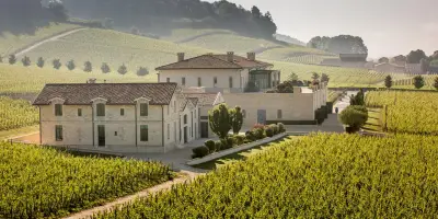Château Pavie : un vignoble devenu attraction touristique à Saint-Émilion