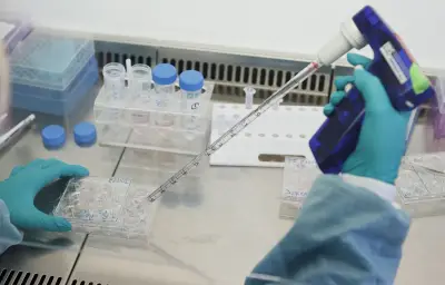 Chute de 54% du taux de testostérone chez les hommes entre 1972 et 2019