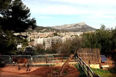 Cinéma en plein air à l'écoferme de La Barre : 6 soirées gratuites sur l'environnement