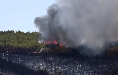 Cinq départements du sud en rouge pour risque très élevé de feux de forêt