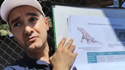 Dalle de la Lieude : un millier de traces fossiles de thérapsides à Mérifons