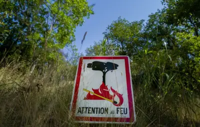Deux individus déférés pour incendies volontaires dans le Var