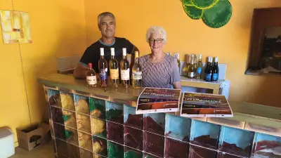 Domaine de la Plaine : dégustation de muscat à Vic-la-Gardiole