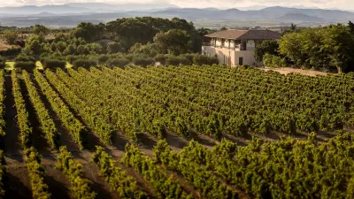 Domaines Paul Mas : l'expérience du luxe rural en Languedoc