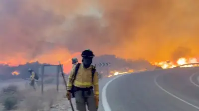 Douze morts dans un incendie de forêt dans le sud de l'Espagne