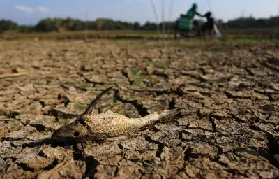 El Niño « Godzilla » : un phénomène climatique extrême attendu en 2026