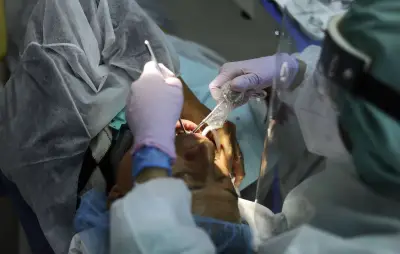 Erreur médicale : une ado opérée des dents de sagesse au lieu de la cheville