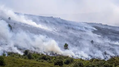 Espagne : 104 000 hectares brûlés en 2026, dont 26 000 en cinq jours