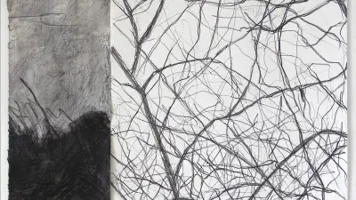 Eve Luquet expose ses collages d'arbres à Ganges
