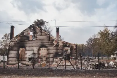 Feu en Gironde stable, auteur de l'attaque de Berlin tué, canicule