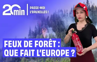 Feux de forêt en Europe : l’UE renforce sa stratégie de lutte