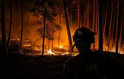 Feux de forêt en Europe : situation critique en France, Espagne, Italie et Irlande