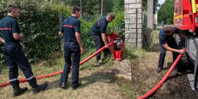 Feux de forêt : les pompiers du Sud prêtent main-forte en forêt de Fontainebleau