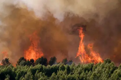 Feux de forêt : misez sur la prévention, pas seulement la lutte