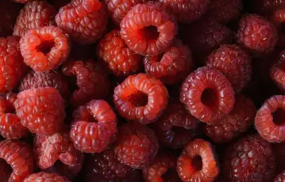 Framboise : bienfaits santé, fibres, vitamine C et antioxydants