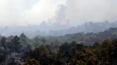 Fumées des incendies en Gironde et Espagne : dangereuses pour l'Hérault ?