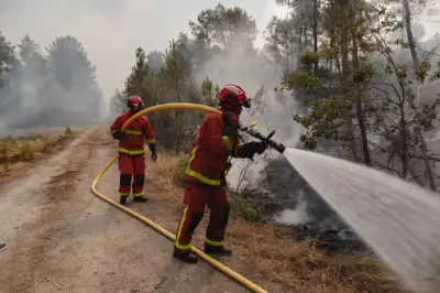 Gironde : les pompiers luttent contre un incendie dévastateur