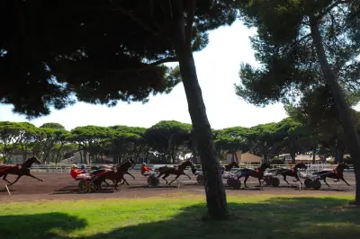 Huit courses de trot semi-nocturnes à l'hippodrome de Hyères ce vendredi