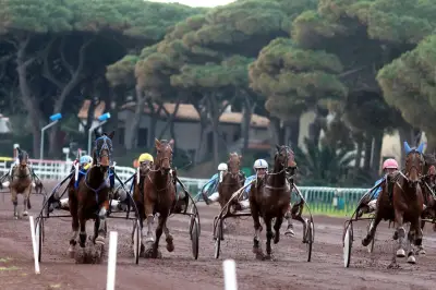 Huit courses hippiques pour lancer les estivales à l'hippodrome de Hyères