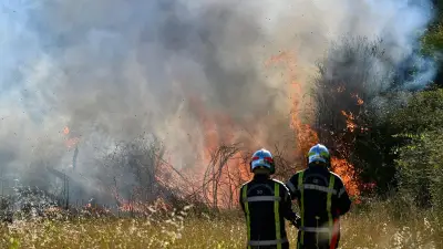 Incendie agricole à Balaguier-sur-Rance : 2 hectares de récoltes détruits