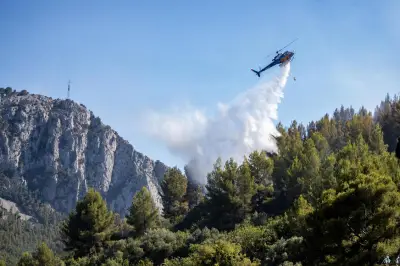 Incendie aux portes de Toulon : 39 enfants évacués, aucun blessé