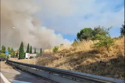 Incendie à Brignoles : 5 hectares brûlés, 127 pompiers mobilisés
