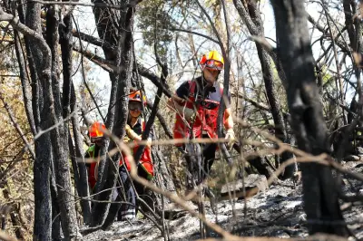 Incendie à Brignoles : un pompier des Alpes-Maritimes blessé, fracturé du col du fémur