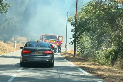 Incendie criminel à Mougins : un pyromane interpellé grâce aux caméras