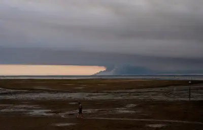 Incendie dans les Landes : 2 600 hectares brûlés, 105 bâtiments touchés