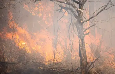Incendie dans les Landes : qui paiera les dégâts du feu de fourgon ?