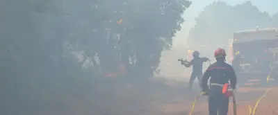Incendie dans l'Hérault : 350 pompiers mobilisés, 100 largages aériens