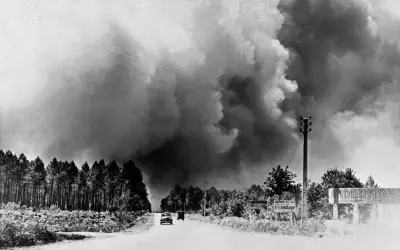 Incendie de 1910 : le feu de forêt qui a tout changé