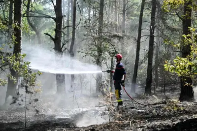Incendie de Fontainebleau : homme interpellé relâché faute de preuves