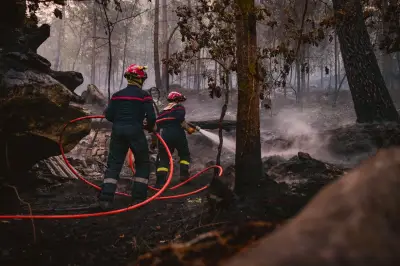 Incendie de Fontainebleau : la France face à un nouveau risque d'incendie généralisé