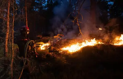 Incendie de la forêt de Fontainebleau : deux ouvriers mis en examen