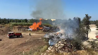 Incendie de végétaux près du Zénith à Montpellier, les pompiers mobilisés