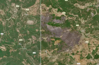 Incendie du Gros Bessillon : 4700 hectares dévastés dans le Var