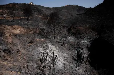 Incendie en Espagne : espoir de stabilisation après 12 morts et 1 500 évacués