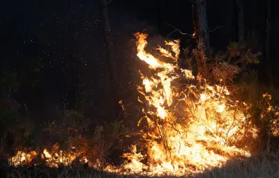 Incendie en Gironde : 42 000 hectares brûlés, situation stabilisée mais non fixée