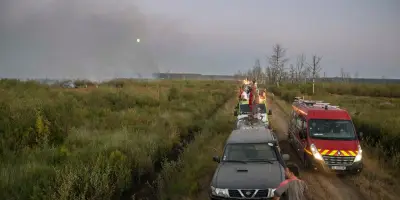 Incendie en Gironde : couper des arbres pour sauver la forêt